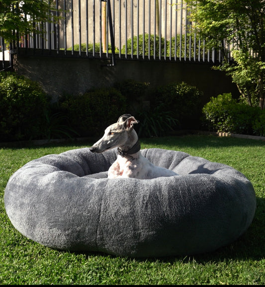 Cama Antiestrés King con funda desmontable (Especial Razas Grandes)