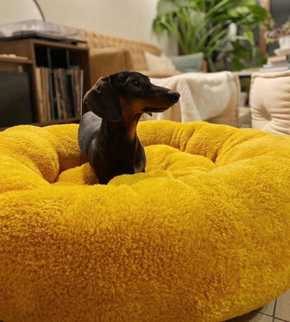 Cama Antiestrés Clásica – Cojín Removible
